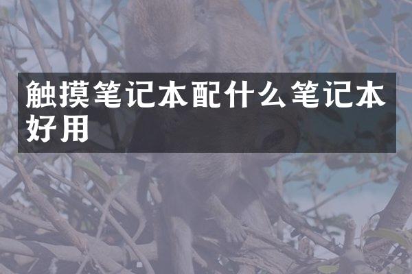 触摸笔记本笔记本好用