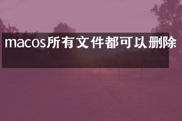 macos所有文件都可以删除吗