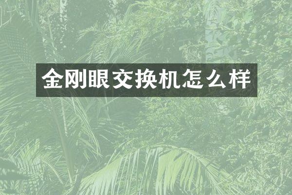 金刚眼交换机怎么样