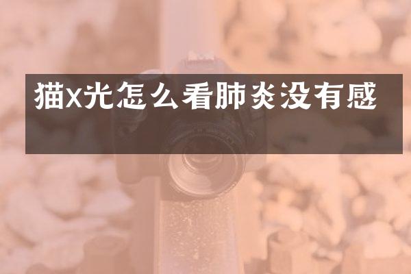 猫x光怎么看肺炎没有感染