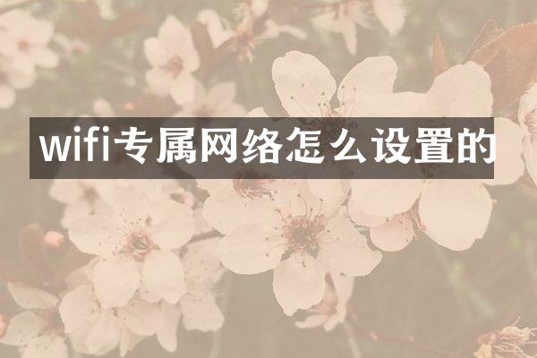 wifi专属网络怎么设置的