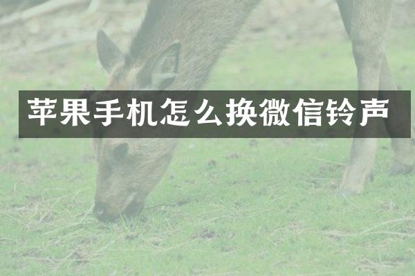 苹果手机怎么换微信铃声