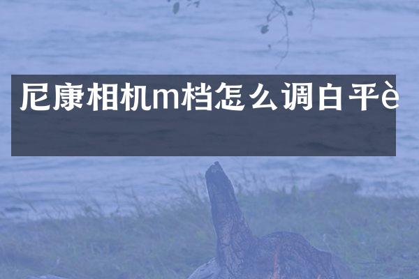 尼康相机m档怎么调白平衡