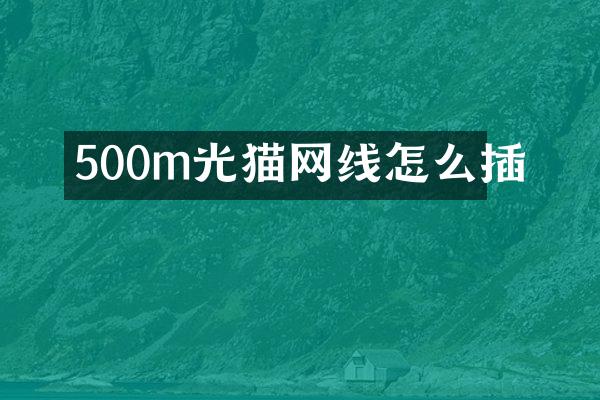 500m光猫网线怎么插