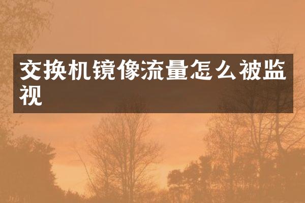 交换机镜像流量怎么被监视