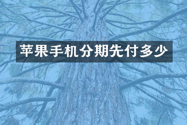 苹果手机分期先付多少