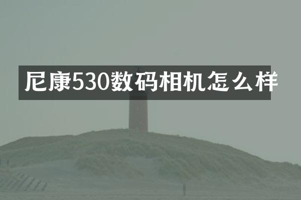尼康530数码相机怎么样