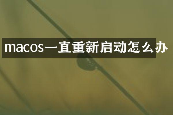 macos一直重新启动怎么办