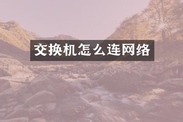 交换机怎么连网络