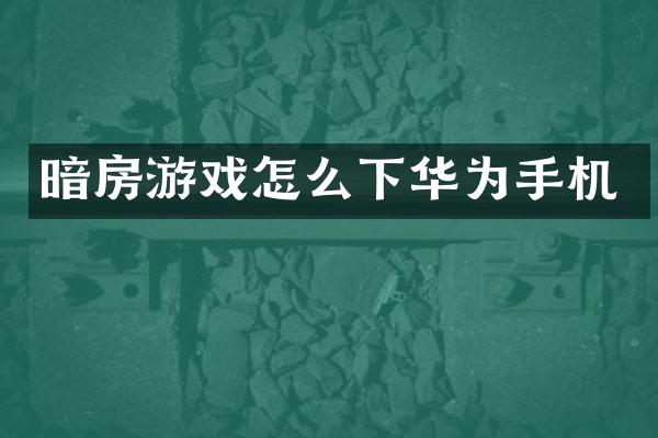 暗房游戏怎么下华为手机