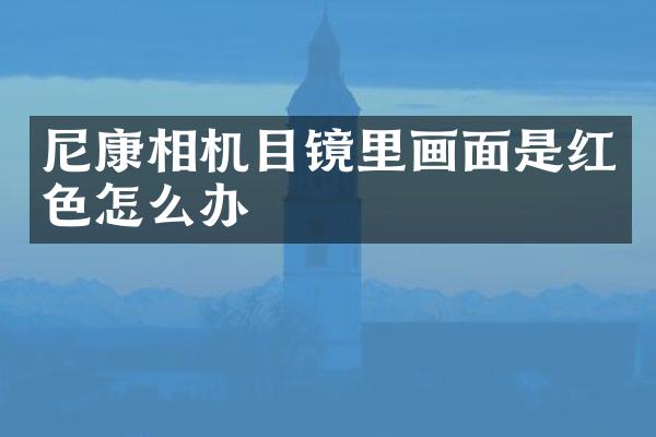尼康相机目镜里画面是红色怎么办