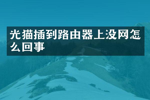 光猫插到路由器上没网怎么回事