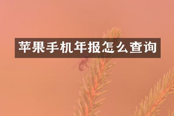 苹果手机年报怎么查询