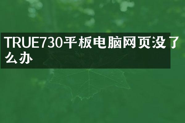 TRUE730平板电脑网页没了怎么办