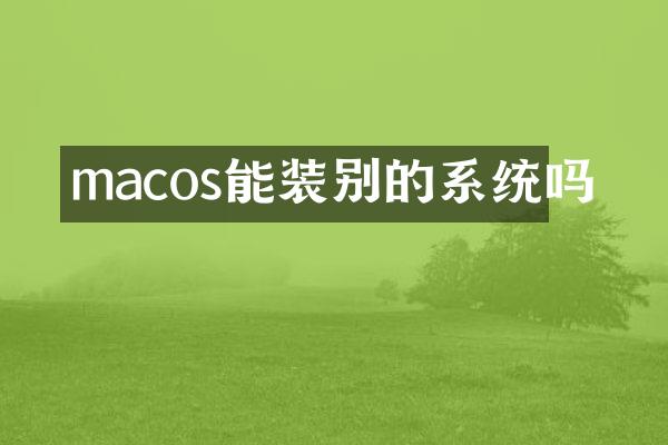 macos能装别的系统吗