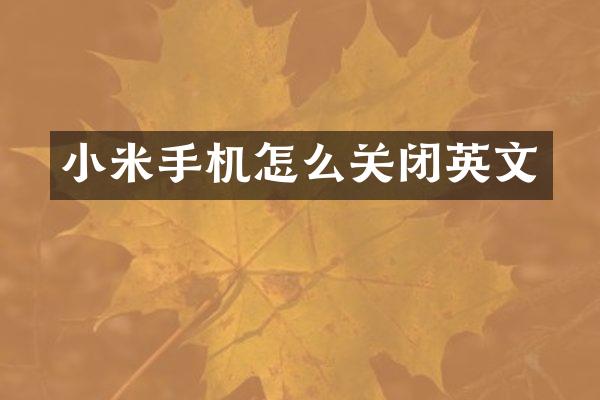 小米手机怎么关闭英文