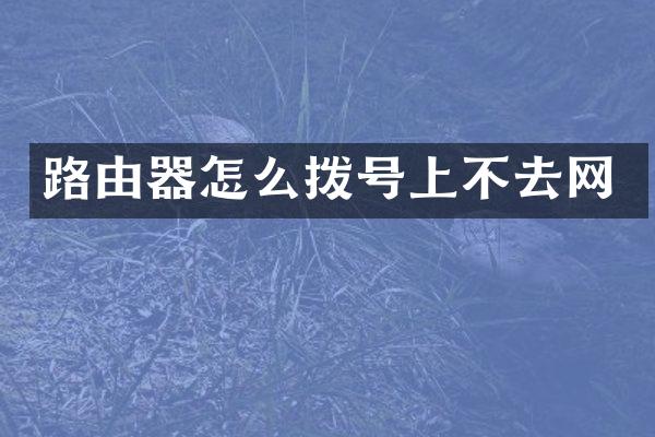 路由器怎么拨号上不去网