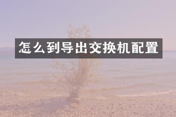 怎么到导出交换机配置