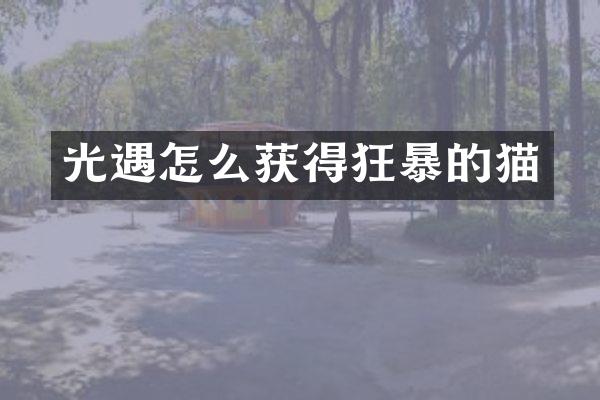光遇怎么获得狂暴的猫
