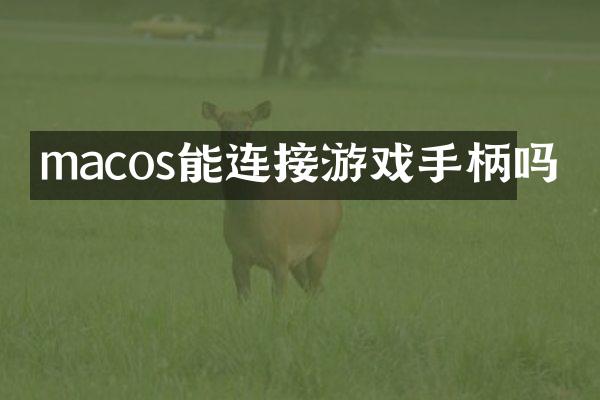 macos能连接游戏手柄吗