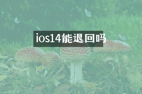 ios14能退回吗