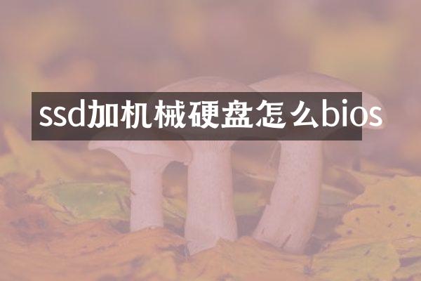 ssd加机械硬盘怎么bios