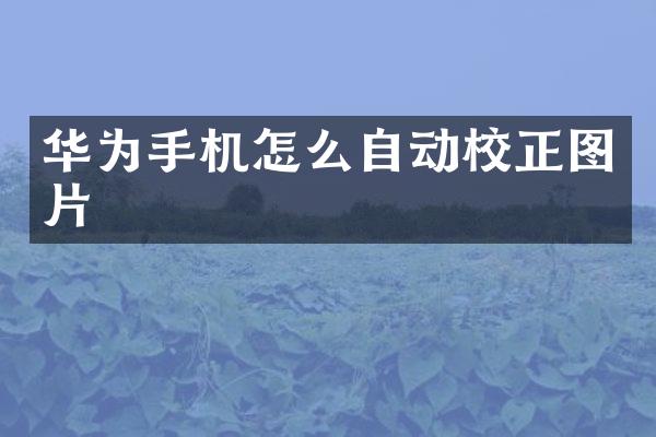 华为手机怎么自动校正图片