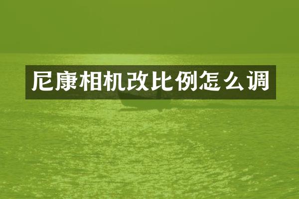 尼康相机改比例怎么调