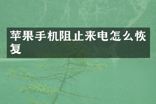 苹果手机阻止来电怎么恢复