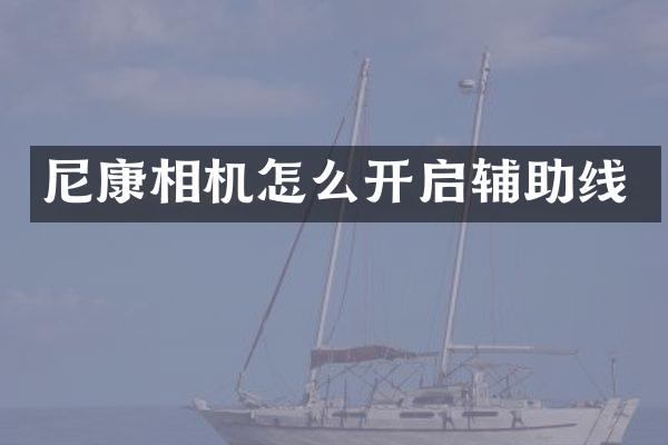尼康相机怎么开启辅助线