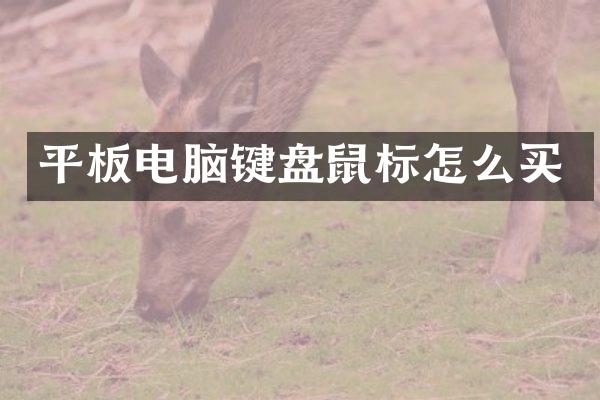 平板电脑键盘鼠标怎么买