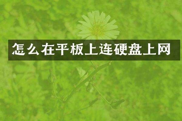 怎么在平板上连硬盘上网