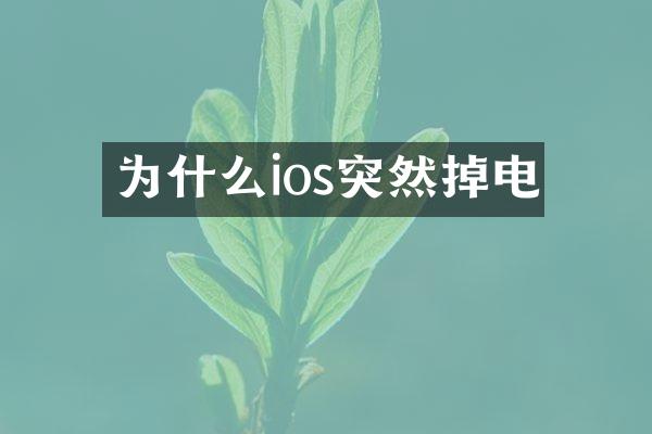 为什么ios突然掉电