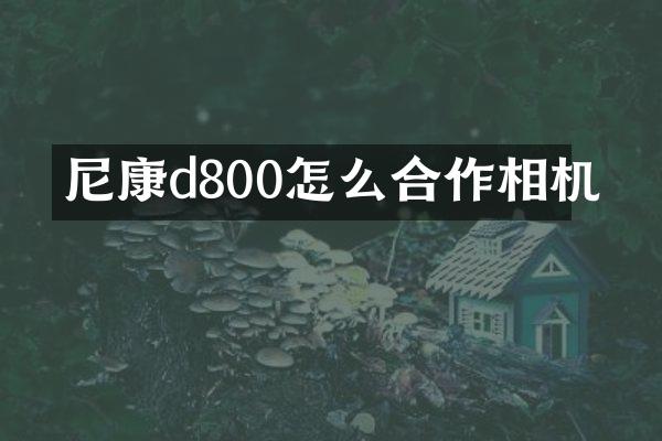 尼康d800怎么合作相机