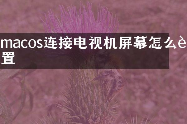 macos连接电视机屏幕怎么设置