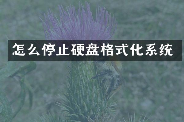 怎么停止硬盘格式化系统