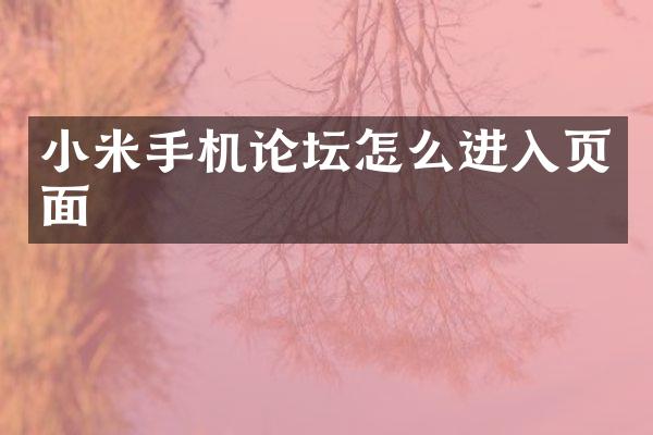 小米手机论坛怎么进入页面