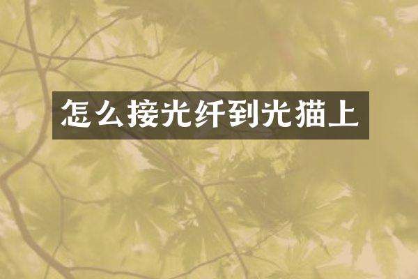 怎么接光纤到光猫上