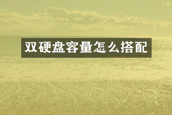 双硬盘容量怎么搭配