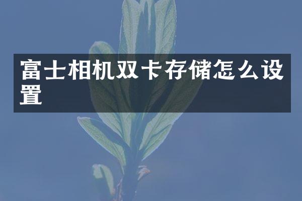 富士相机双卡存储怎么设置