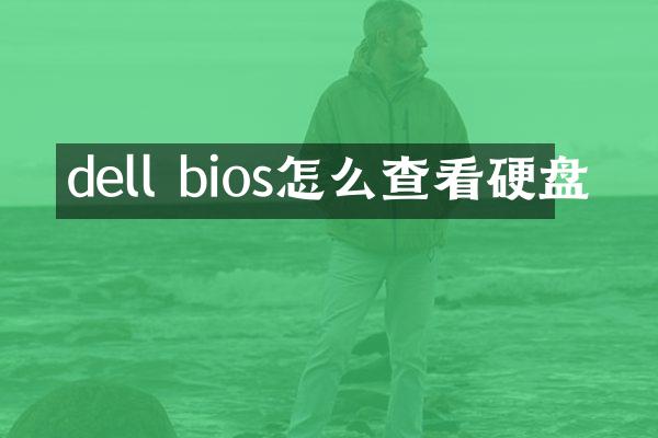 dell bios怎么查看硬盘