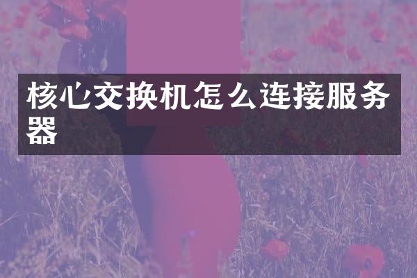 核心交换机怎么连接服务器