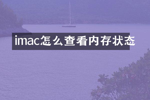 imac怎么查看内存状态