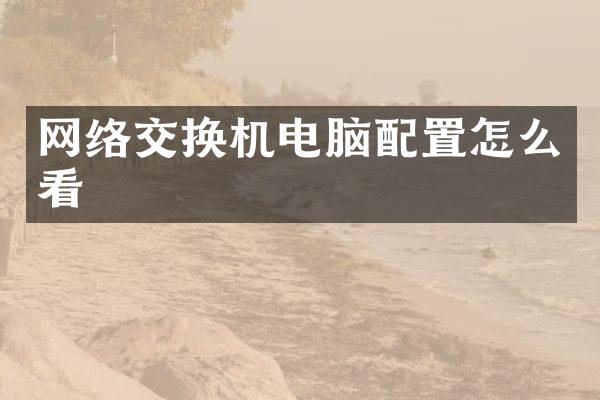 网络交换机电脑配置怎么看