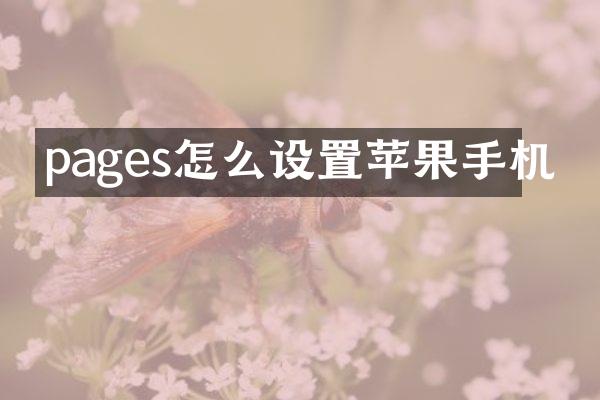 pages怎么设置苹果手机