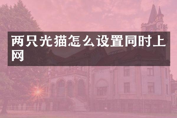 两只光猫怎么设置同时上网