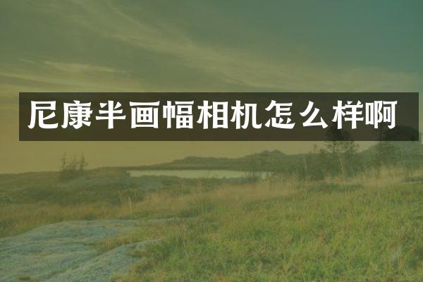 尼康半画幅相机怎么样啊