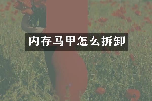 内存马甲怎么拆卸