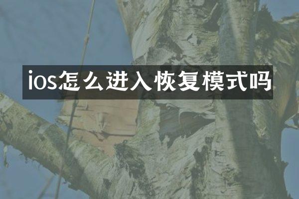 ios怎么进入恢复模式吗