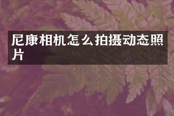 尼康相机怎么拍摄动态照片